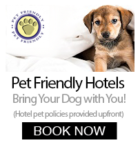 Pet Friendly Hotels in Las Vegas